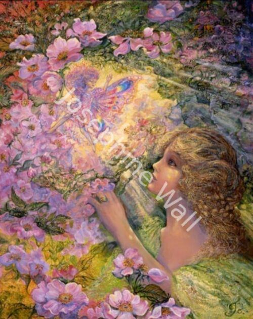 Sweet Brair Rose Fairy (print)