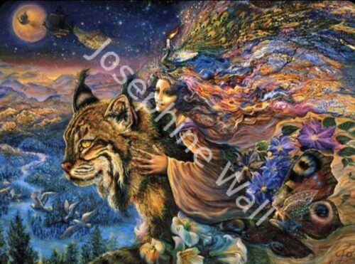 Flight of the Lynx (print)