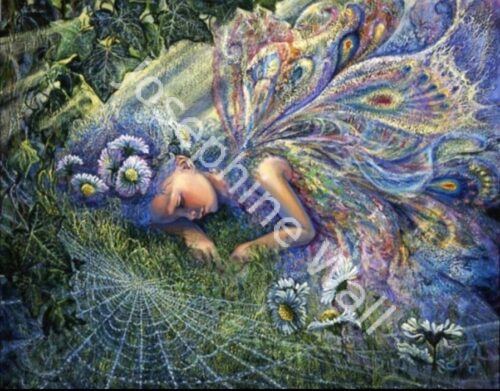 Caught by a Sunbeam (print)