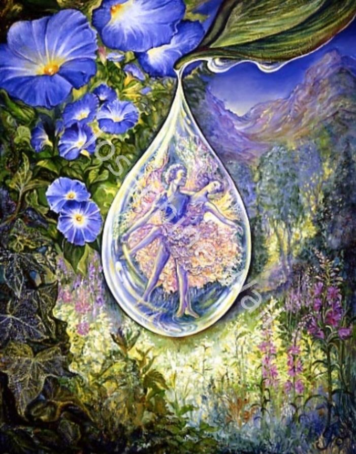 Dewdrop Dancers (print)
